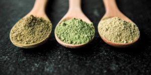 How to Identify a Reliable Kratom Online Store?